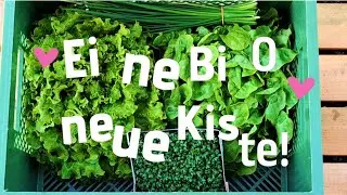 Unboxing a Fresh Organic Veggie Box - LocalGoodness Inside! Austria, April 2025