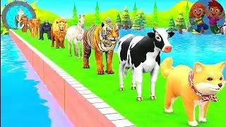 Kids game for only video || cartoon game video || anime game video kids || meds for kid's|| #kids 