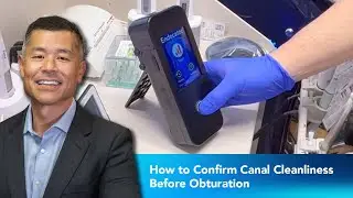 How to Confirm Canal Cleanliness Before Obturation | Dentist 2 Dentist