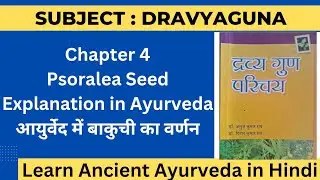 Bakuchi Explanation in Hindi | Psoralea Corylifolia Explanation | Psoralea Seed
