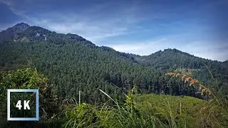 Walking tour Sri Lanka  | Midlands - Rattota | 4K Sri Lanka| ASMR | Real Sri Lanka