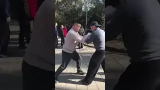 Туй шоу в парке , Китай январь 2026г.