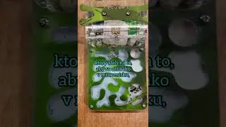 Přestěhov&aacute;n&iacute; mravenců do formik&aacute;ria - AntsPark