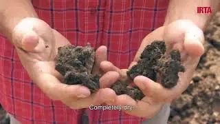CIRCULAR AGRONOMICS - Fertiliser from manure in Case Study 1 Catalonia (IRTA)