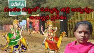 చిలకల గుట్టలో సమ్మక్క తల్లి అదృశ్యం అయ్యిన ప్రదేశం #trending #viralvideo #chilkalagutta#chittithalli
