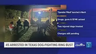SHERIFF: 45 arrested in illegal dog fighting ring in East Texas
