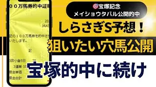 2025年　しらさきステークス予想【宝塚記念裏メルマガメイショウタバル公開的中　しらさきステークスで美味しい馬をズバリ公開中】