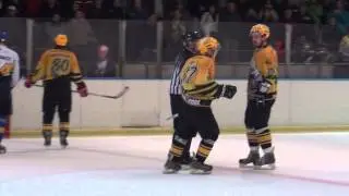 Stuttgart Rebels 3:6 Zweibrücken   ( 6.3.2013 )