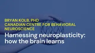 Harnessing Neuroplasticity: How The Brain Learns &bull; Brian Kolb, PhD