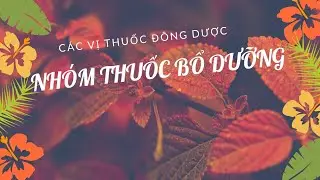 Các Vị Thuốc Đông Dược | Nhóm Thuốc Bổ Dưỡng