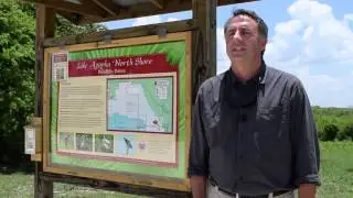 Lake Apopka Tour