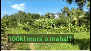 half hectare for 100k pesos