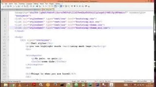 Html Viewer Description Video