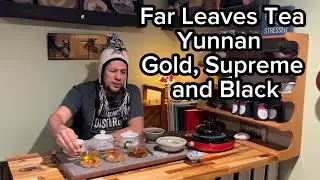 Yunnan Supreme Gold and Black from far leaves tea gong fu cha