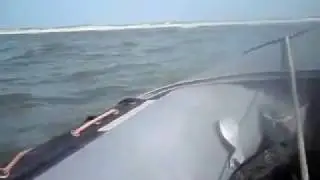 Waddenflits (5) Met een Zodiac naar Rottumerplaat