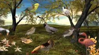 3D Air Animals