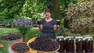 Урожай дикой ежевики в нашем саду - приготовление варенья из ежевики