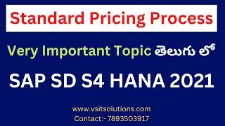 SAP SD S4 HANA Standard Pricing Process | SAP SD in Telugu | SAP SD Pricing Veera BS