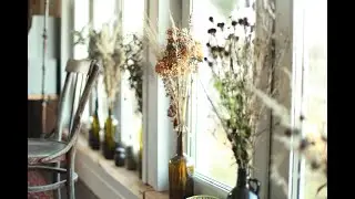 осенние  травы, autumn herbs