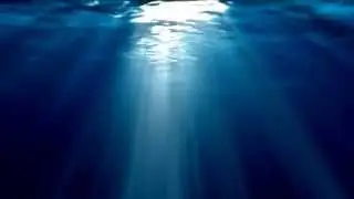underwater sunlight loop 5minutes