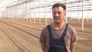 Povrće iz Počekovine