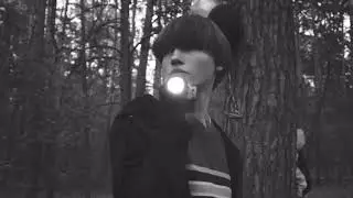 Tryglav - The Vengeance Unofficial  Lyric video with Visuals
