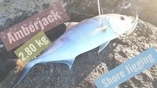 Shore Jigging - Amberjack