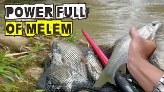 DAHSYAT !!! POWER FULL TARIKAN IKAN MELEM BABON