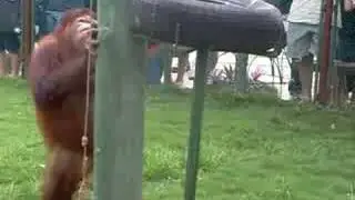 Davao crocodile Park