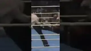 1987 Branko Cikatic vs Don Wilson KO #brankocikatic  #shortsfeed  #trending  #knockout