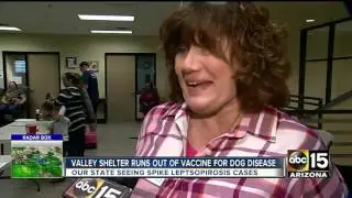 AAWL offering vaccines for deadly dog disease