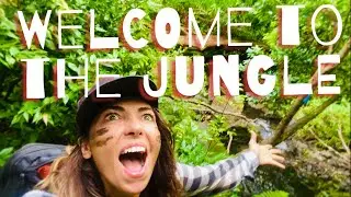 Hawaii Waterfall hike to Lulumahu Falls, Argo Drifter, Volunteer @ community garden & improve mood