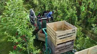The Tecnofruit 105 Orchard Platform