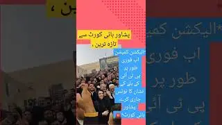 Pti Bat 🏓 party  symbol for Election 🥰 Peshawar high court Advocates Celebrate 🎈#trending #viral