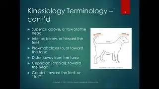 Chapter 1 Lecture Part 1 Kinematics and Basic Terminology