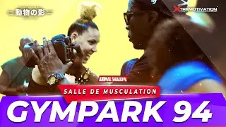 KONGOLO SPECIAL K - SALLE DE MUSCULATION - GYMPARK 94