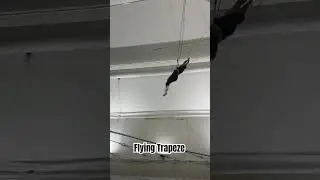 Flying trapeze, first jump #nyc #thingstodonyc
