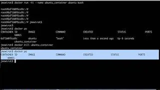 8   Docker Operations | Kill
