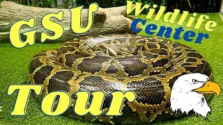 Georgia Southern Wildlife Center