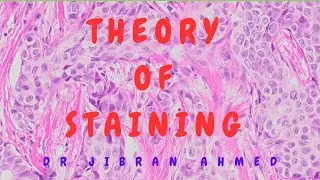 THEORY OF STAINING II BASIC TISSUE PROCESSING TECHNIQUES II  @DR JIBRAN AHMED