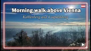 Winter Magic Above Vienna: Kahlenberg & Leopoldsberg ❄️🇦🇹