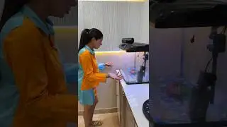 Aquarium Ki Fishes Kahin Crocodile to ni Kha Gaya 🐊🐟🐠 #aquarium #fishes #minivlog #crocodile