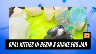 Resin Pouring Opal Kitties & Snake Egg Jar Plus A Giveaway | Resin Art | Bond Craftor | Resin Molds