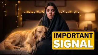 What It REALLY Means When Your Male Dog Sleeps With you