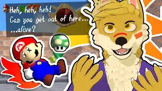 Furry Rages at Chaos Mario 64