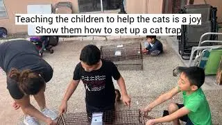 Cat Rescue in Las Vegas - Kids Can Help Too