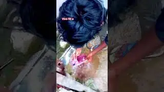 king of Bihar 💪‼️#video #creator #💪‼️