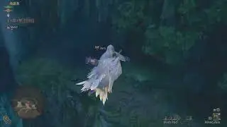 Giant Downy Crake location (Monster Hunter Wilds)