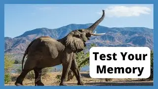 Memory Test - Test your Memory - Memory Quiz