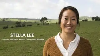 International Competition - A Feast of Ideas